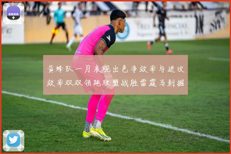 黄蜂队一月表现出色净效率与进攻效率双双领跑联盟战胜雷霆马刺掘金