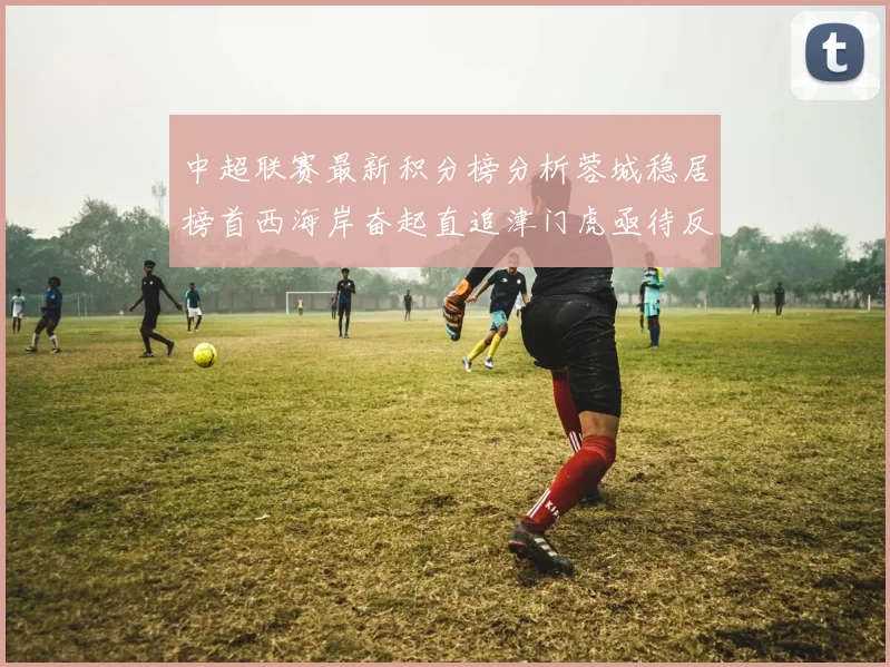 中超联赛最新积分榜分析蓉城稳居榜首西海岸奋起直追津门虎亟待反弹