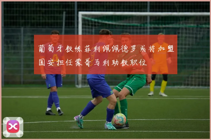葡萄牙教练菲利佩佩德罗或将加盟国安担任蒙哥马利助教职位