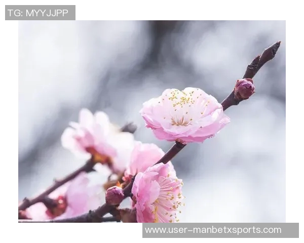 克莱深情命名小船冬梅展现爱的执着与温暖